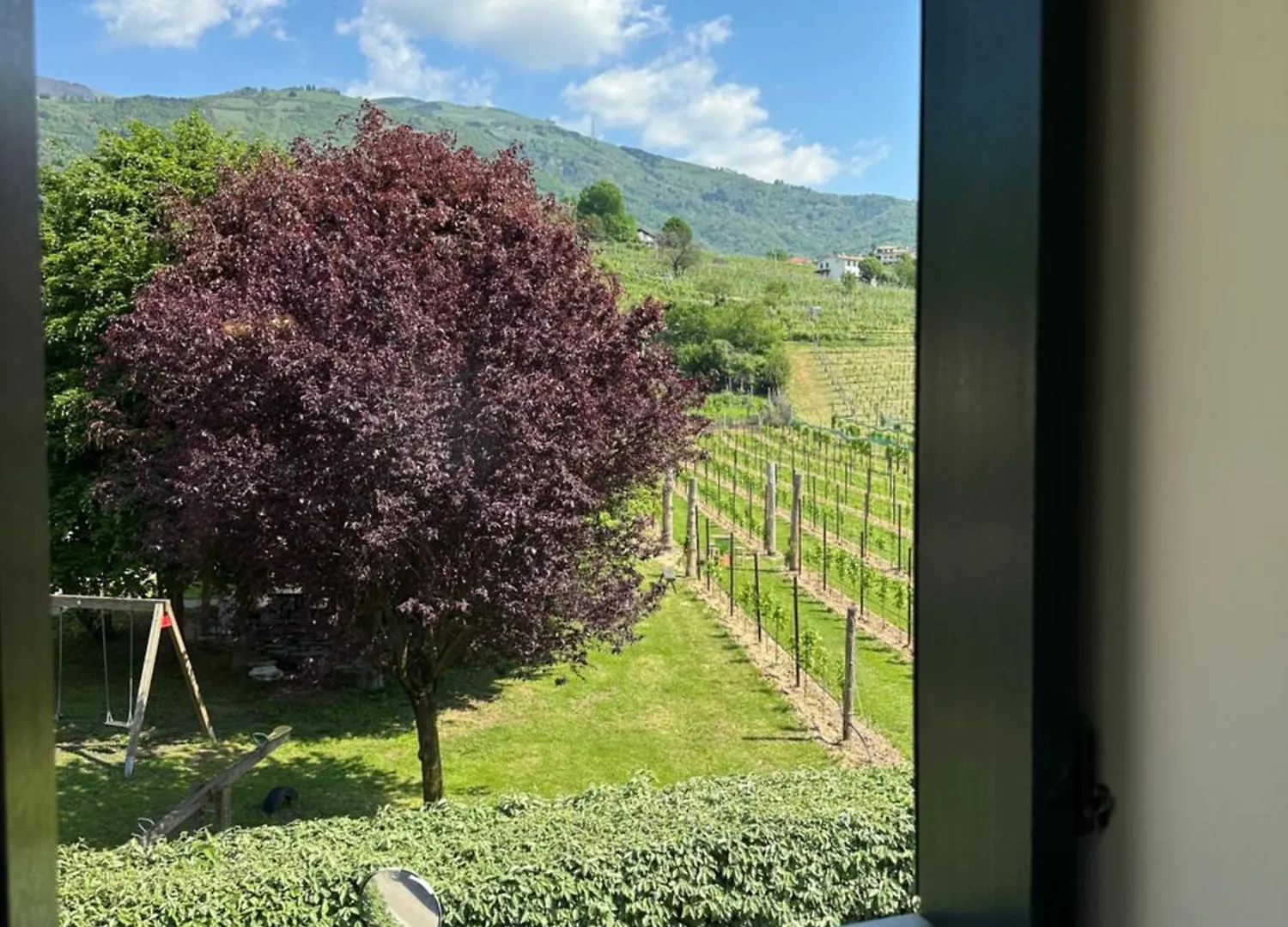 Casa Vacanze Ricca Vigna Valdobbiadene Italia